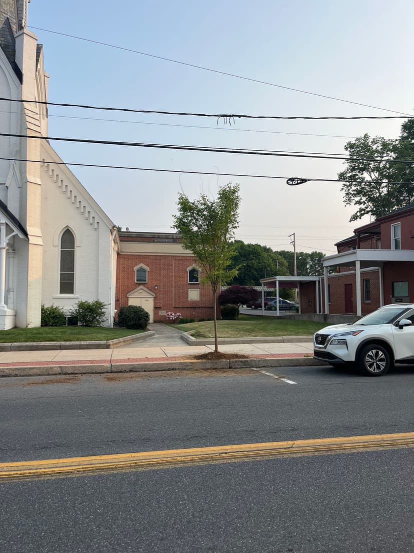 Tree by sidewalk on a street with church and buildings in the background. Car parked nearby.