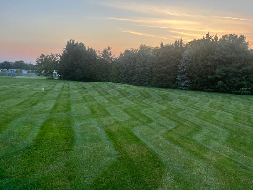Lush green lawn with wavy mowing patterns under a sunset sky and trees in the background.