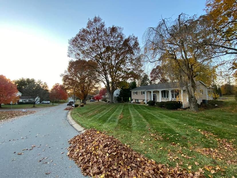 Charming suburban home on a tree-lined street with colorful autumn foliage and fallen leaves.