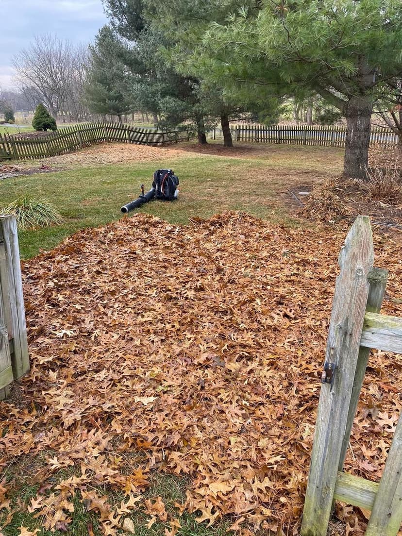 Backyard scene with fallen leaves, leaf blower, and wooden fence. Autumn landscaping work.