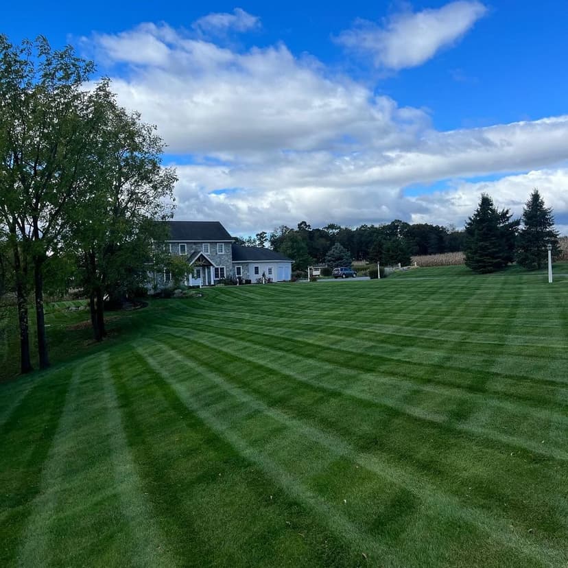 Lush green lawn with striped patterns, house, and trees under a blue sky with clouds.